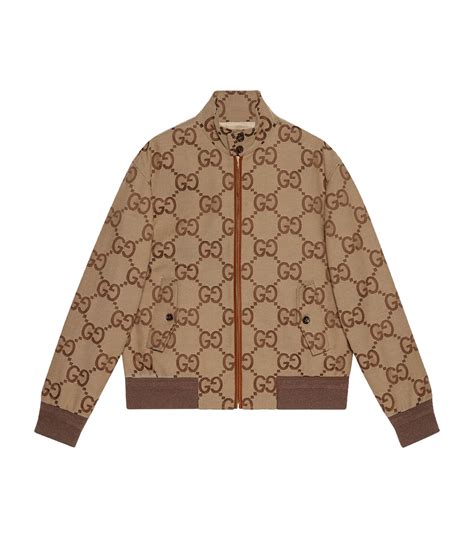 gucci jacket cheap|gucci clearance store.